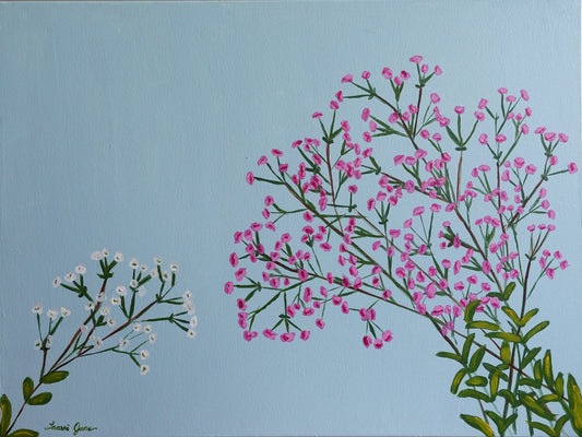 Baby's Breath