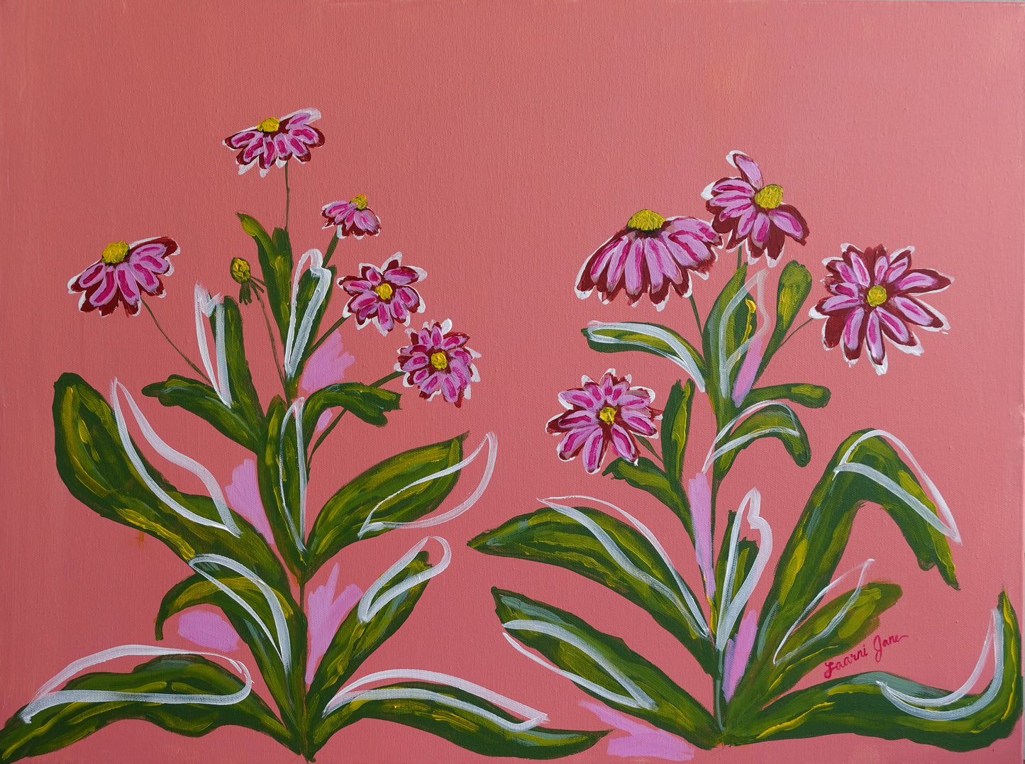 Red Daisies