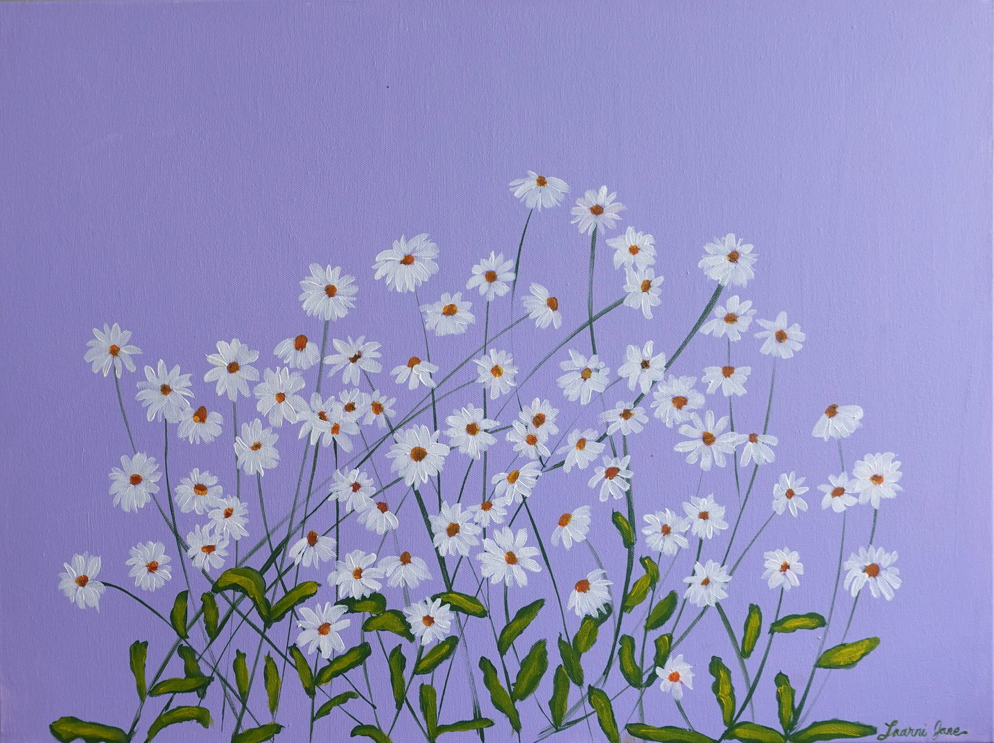 White Daisies