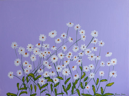 White Daisies
