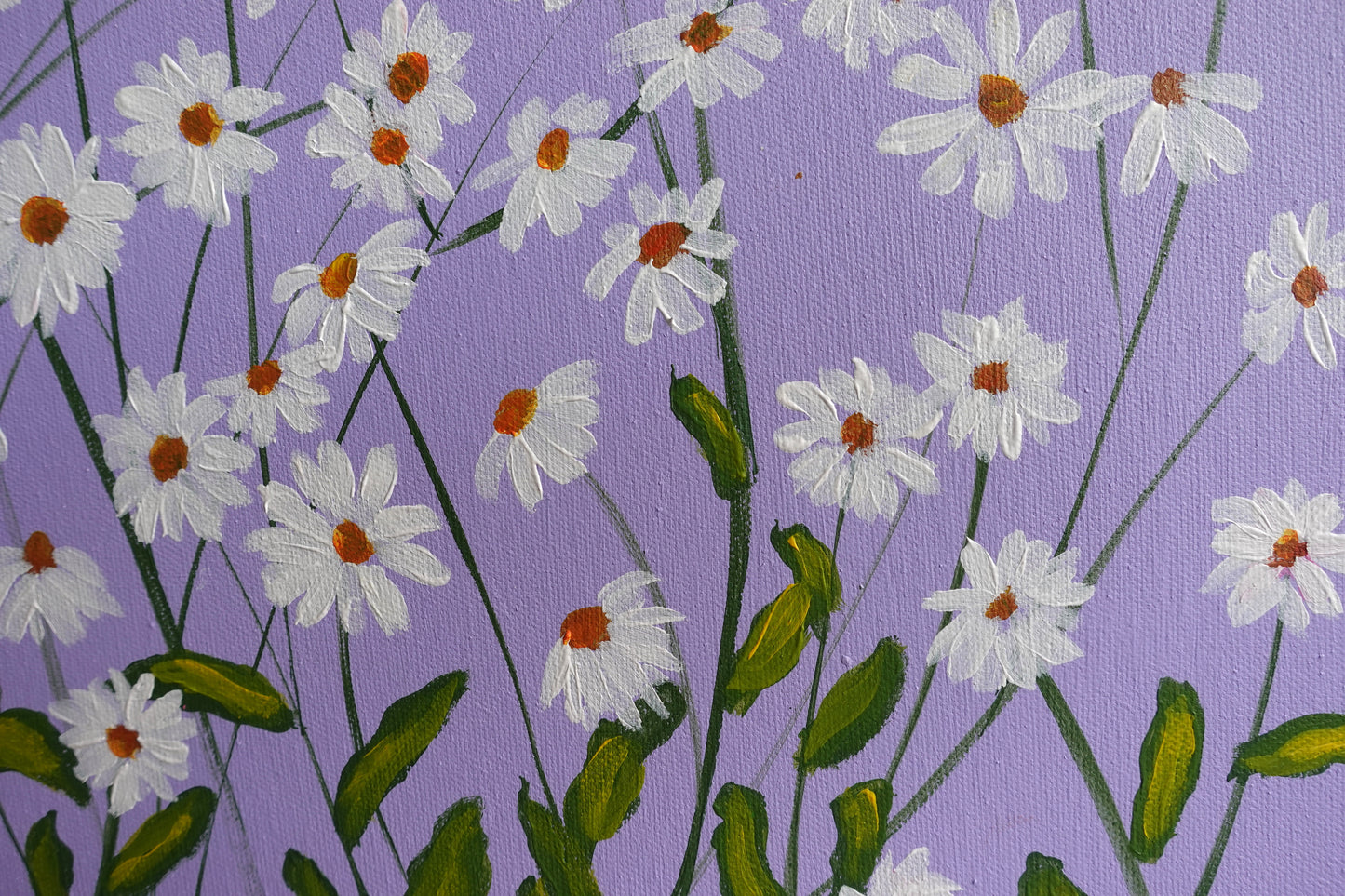 White Daisies