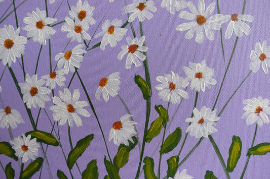 White Daisies