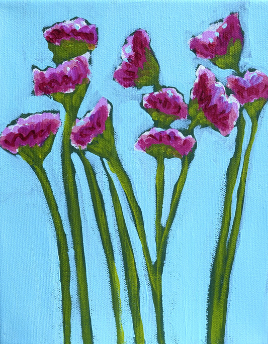"Pink Statice"