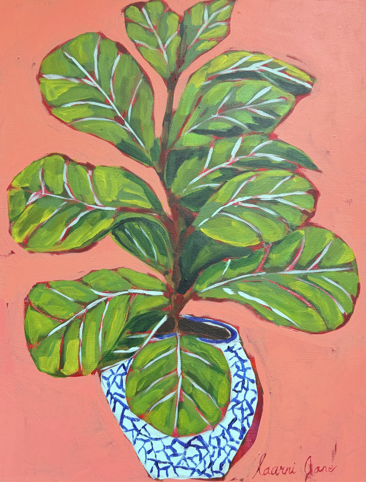 The Fiddle Leaf Fig
