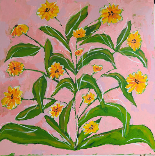 "Blanket Flowers"
